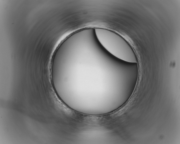 X0000091061248200708060953