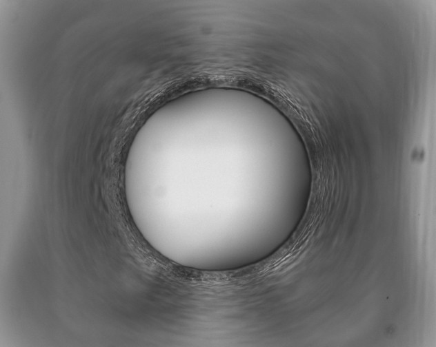 X0000091061249200708060952