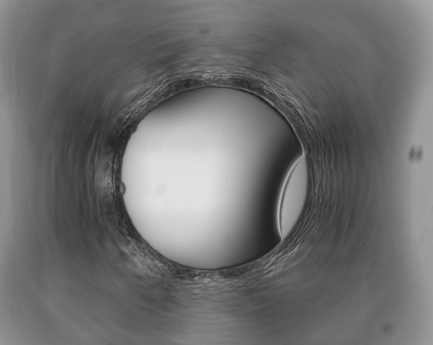 X0000091061250200708060952
