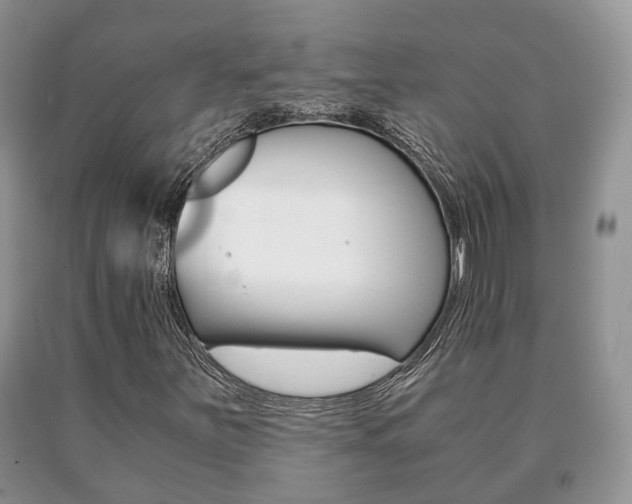 X0000091061251200708060952