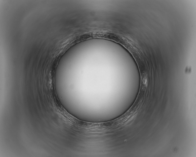X0000091061252200708060952