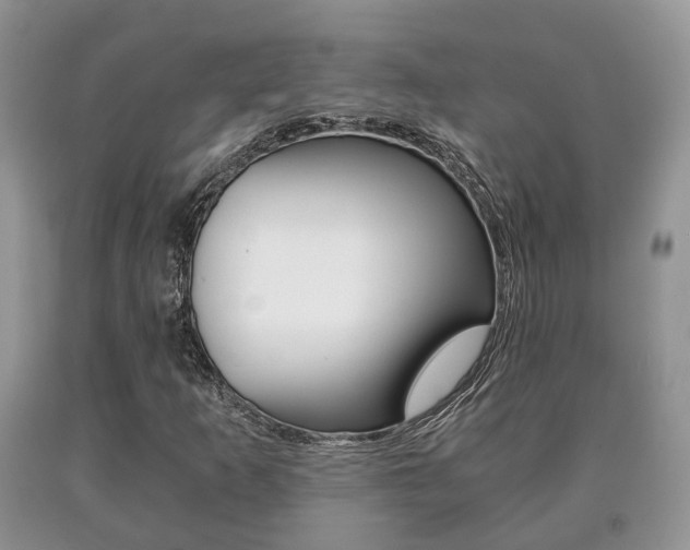 X0000091061253200708060952