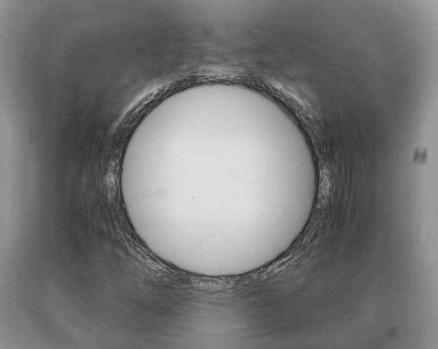 X0000091061254200708060952