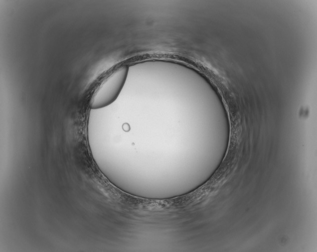 X0000091061255200708060952