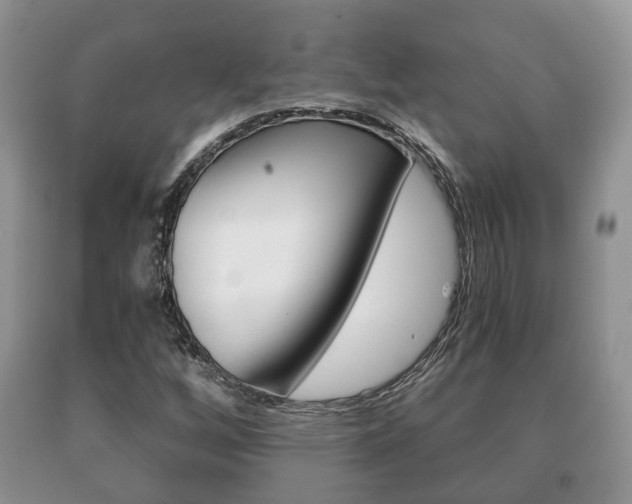 X0000091061256200708060952