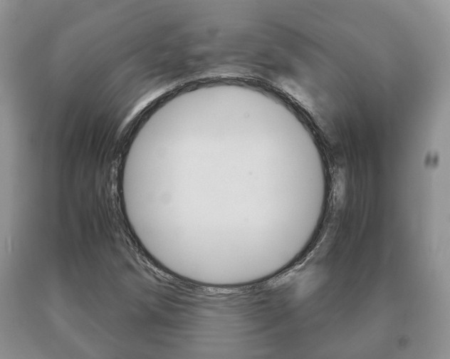 X0000091061258200708060952