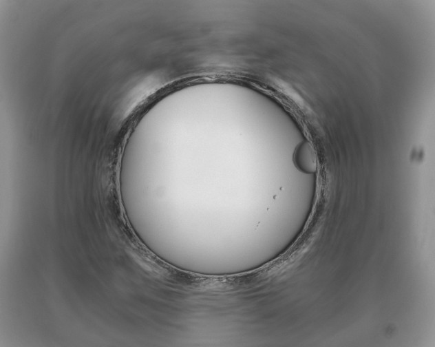 X0000091061259200708060952