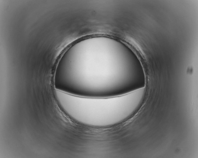 X0000091061260200708060952