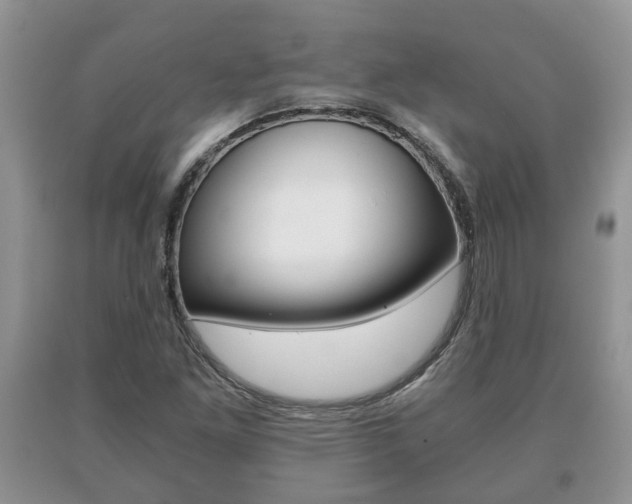 X0000091061261200708060952