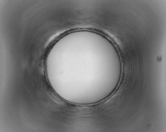 X0000091061262200708060952