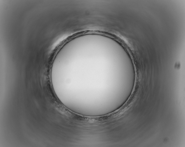 X0000091061263200708060952