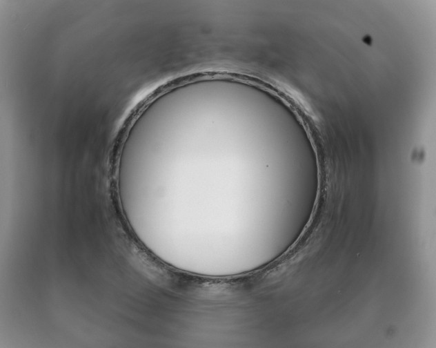 X0000091061264200708060952
