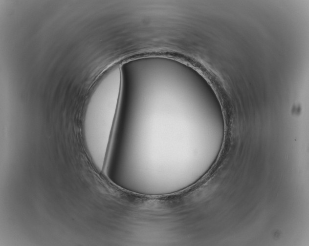 X0000091061265200708060952