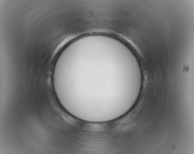 X0000091061266200708060952