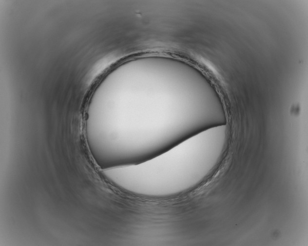 X0000091061267200708060952