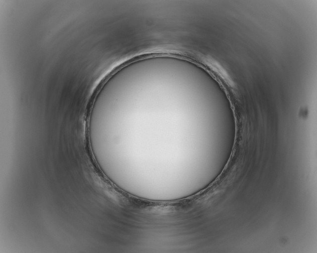 X0000091061268200708060952