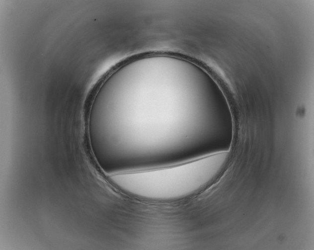 X0000091061270200708060952