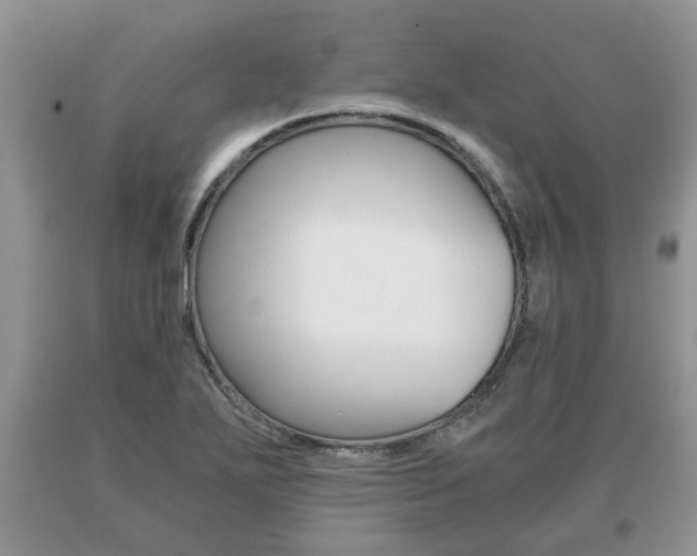X0000091061271200708060952