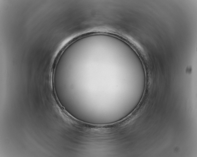 X0000091061272200708060952