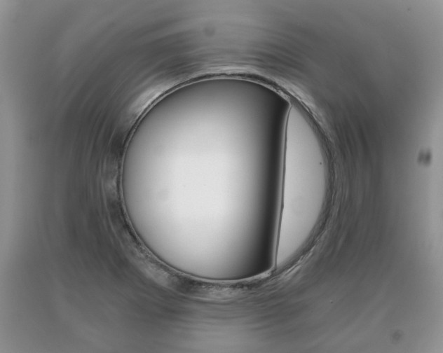 X0000091061273200708060952