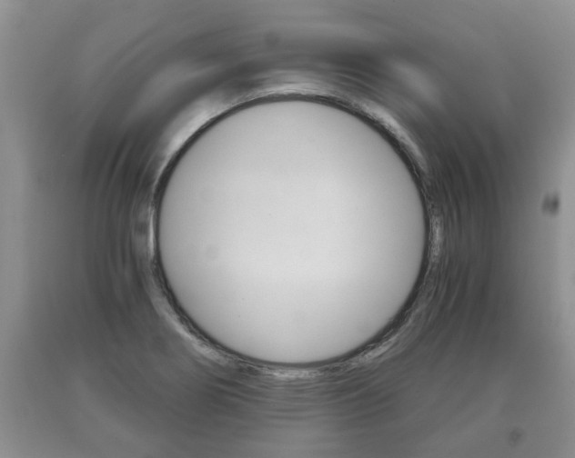 X0000091061274200708060952