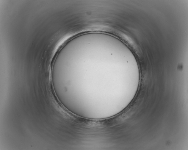 X0000091061275200708060952