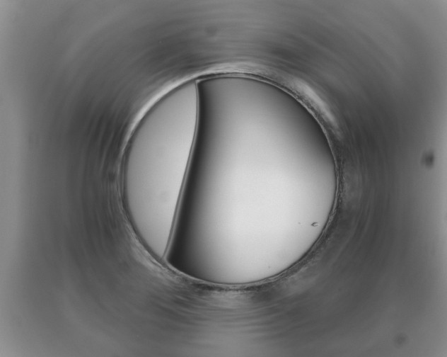 X0000091061276200708060952