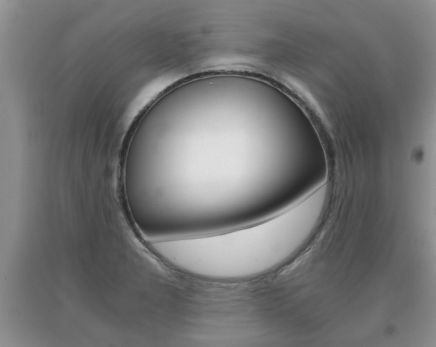 X0000091061277200708060952
