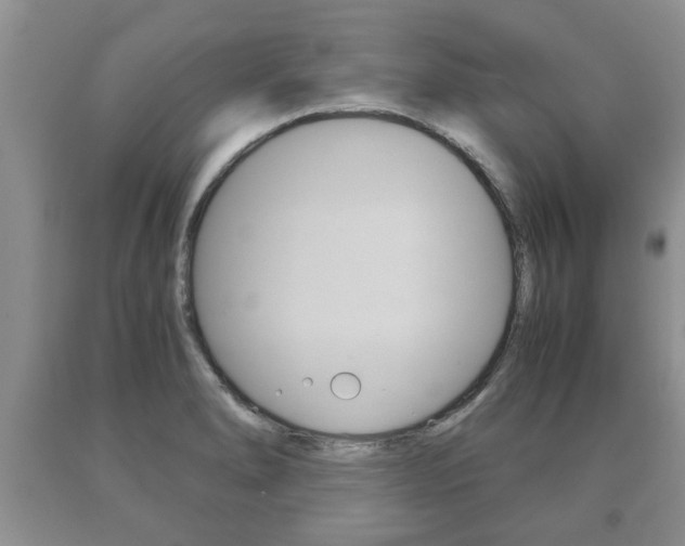 X0000091061278200708060952