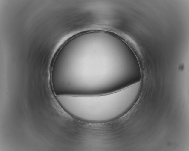 X0000091061280200708060952