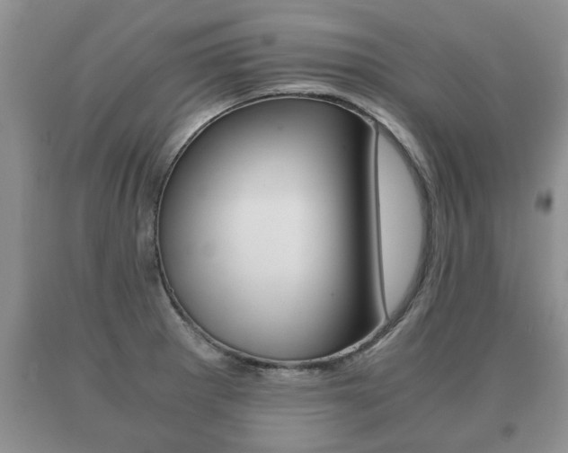 X0000091061281200708060952