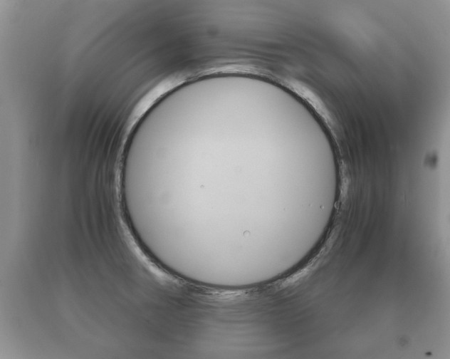 X0000091061282200708060952