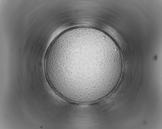 X0000091061283200708060952