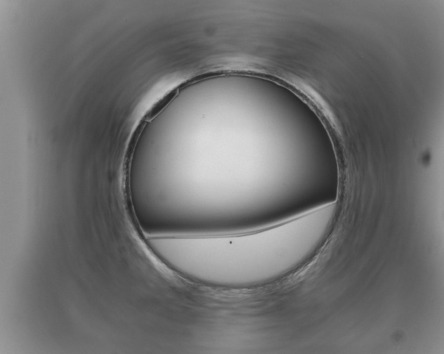 X0000091061285200708060951