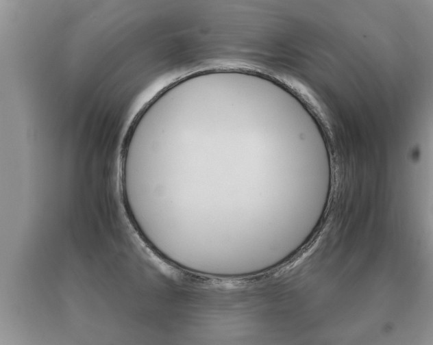 X0000091061286200708060951