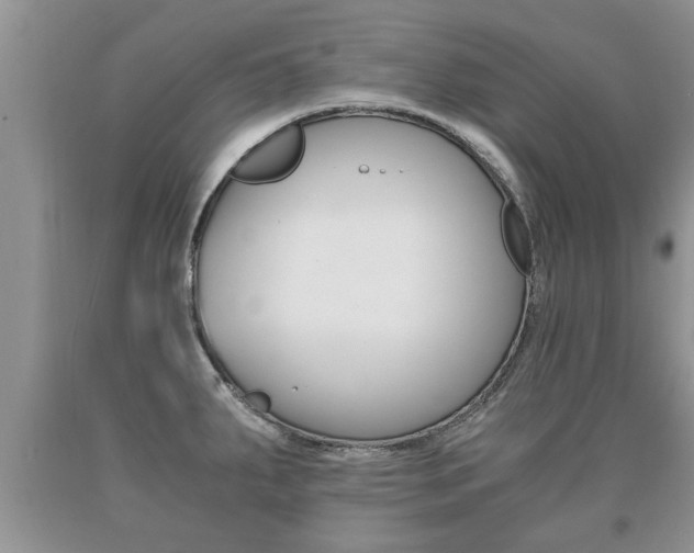 X0000091061287200708060951