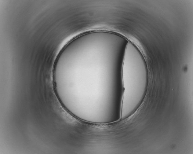 X0000091061288200708060951