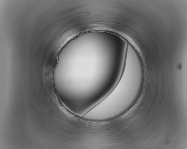 X0000091061289200708060951