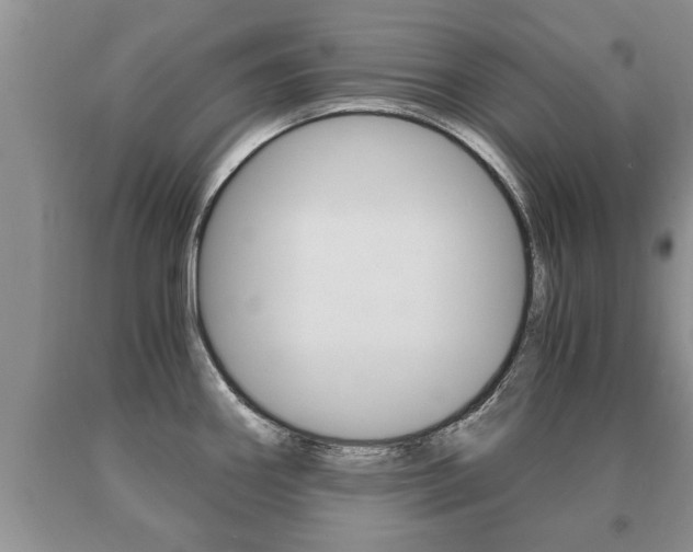 X0000091061290200708060951