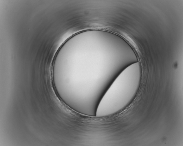 X0000091061291200708060951