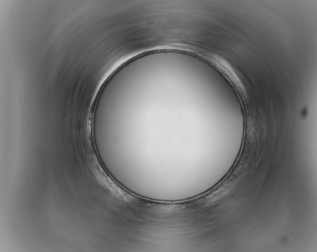 X0000091061292200708060951