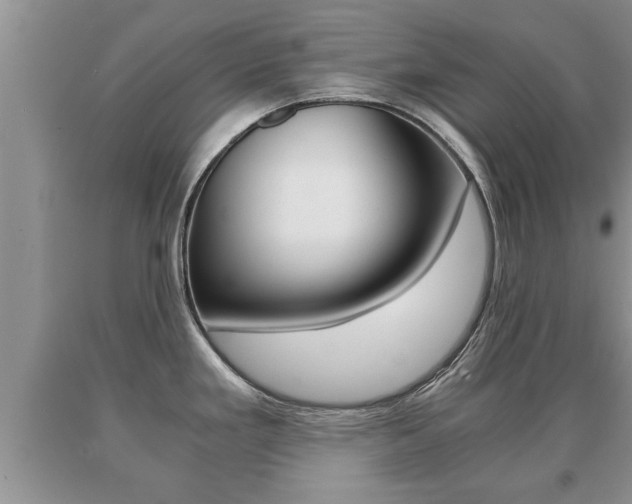 X0000091061293200708060951