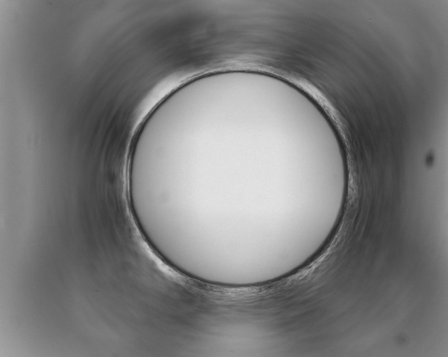 X0000091061294200708060951