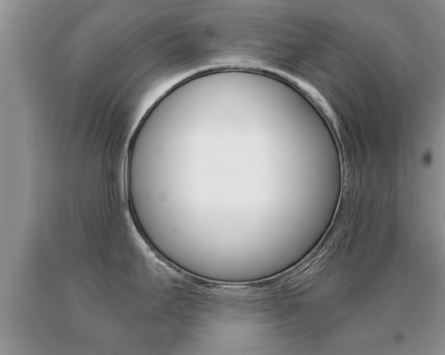X0000091061295200708060951