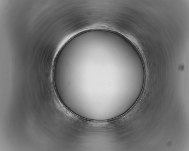 X0000091061296200708060951