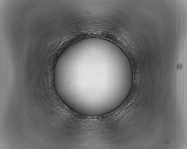 X0000091061297200708060951