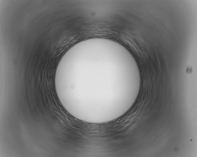 X0000091061298200708060951