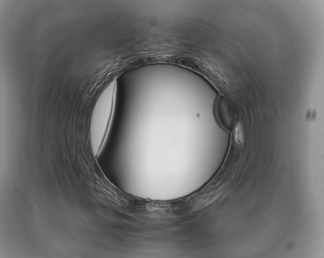 X0000091061299200708060951