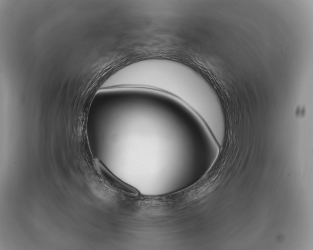 X0000091061300200708060951