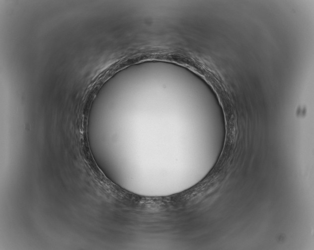 X0000091061301200708060951
